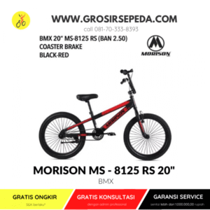 sepeda-anak-bmx-20-ms-8125-rs-dengan-ban-2-50