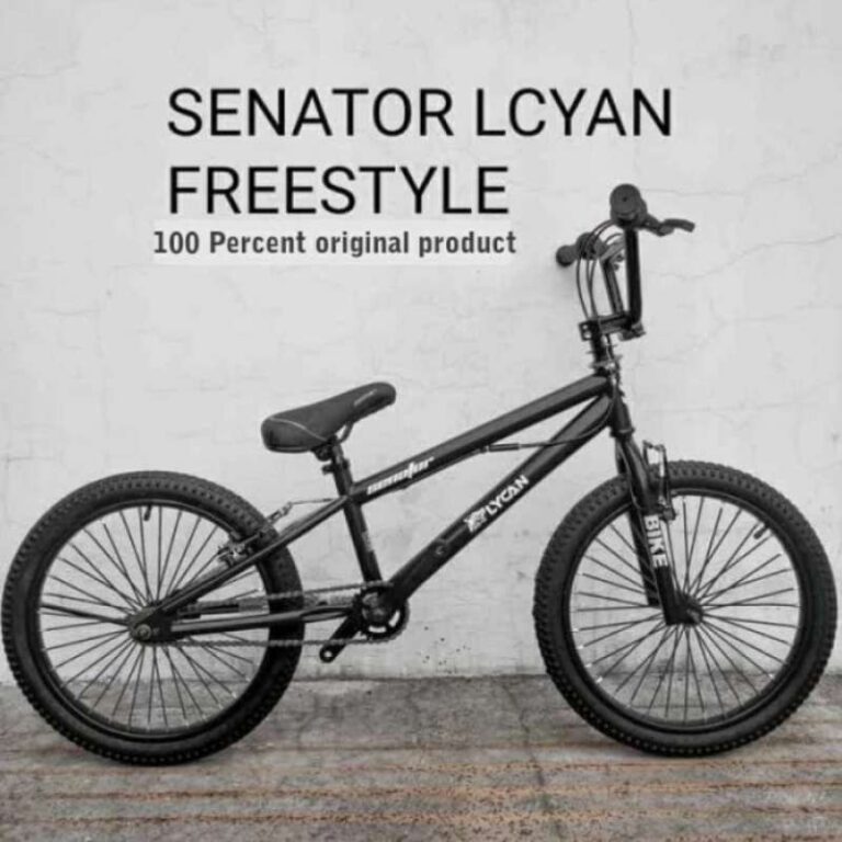 Sepeda Anak Lycan Rotor 20″: Pilihan Tepat untuk Pemula