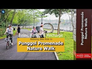 eksplorasi-sepeda-tur-di-taman-punggol-yang-menyenangkan