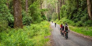 evend-sepeda-otway-odyssey-perjalanan-menantang-di-alam-terbuka
