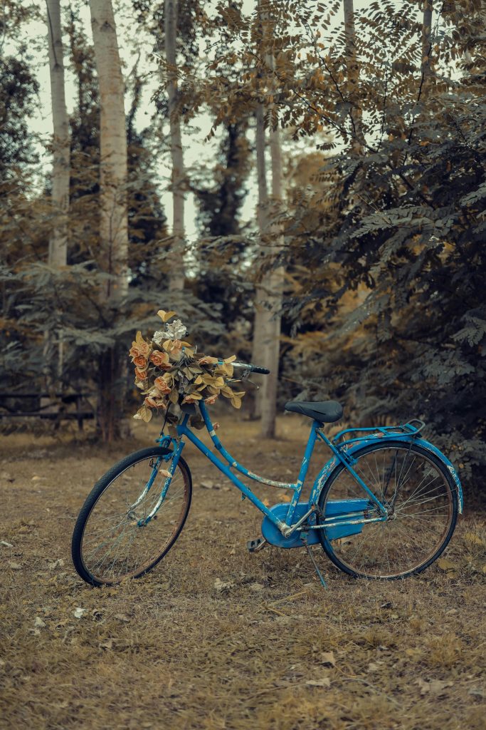 Sepeda Giro Vecchio Musim Gugur: Pesona Keindahan dan Nostalgia