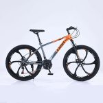 Sepeda Xi Ujimqin Qi MTB dan Road: Pilihan Berkualitas di Sepeda Xi Ujimqin Qi